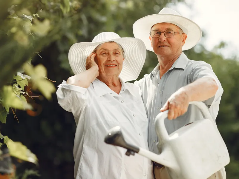 Care români sunt în pericol să rămână fără pensie pentru tot restul vieții? Guvernul îi avertizează - Foto: Freepik