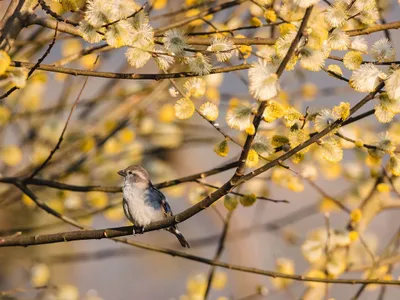 Ce se întâmplă cu vremea în perioada următoare. Anunțul de ultimă oră al meteorologilor - Foto: Pexels.com (rol ilustrativ)