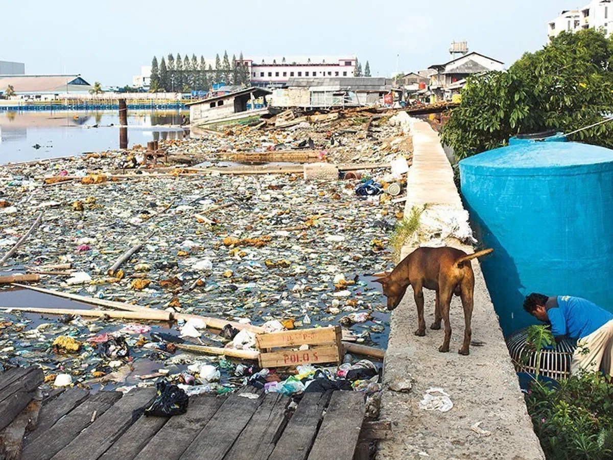 SEMNAL DE ALARMĂ Dacă nu se schimbă ceva, până în 2050, 99% dintre păsările marine vor fi ingerat plastic - Foto: GETTY IMAGES