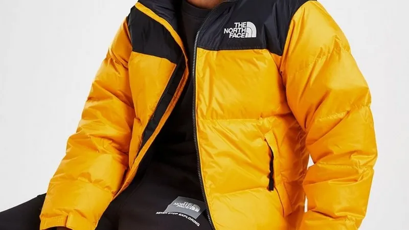 Stil și confort termic – jachete din puf The North Face de la JD Sports