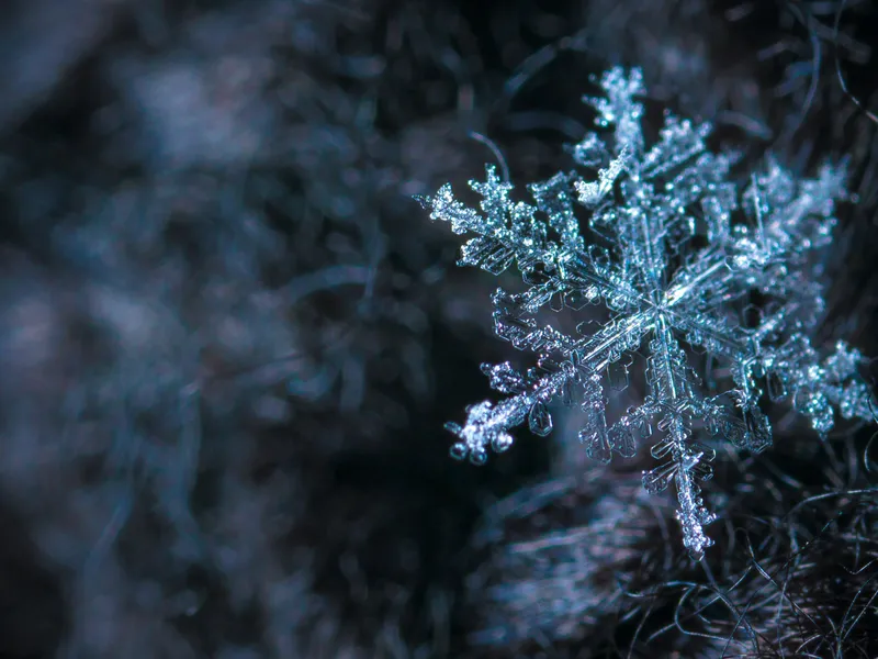 VREMEA Cum va fi iarna anul acesta în România? Va fi înregistrat un nou record de temperatură Foto: Pexels (fotografie cu caracter ilustrativ)