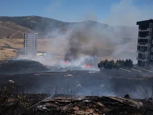 Evacuări în Turcia din cauza vântului puternic care împinge flăcările spre litoral la Marea Egee  - Foto: Profimedia Images (Imagine cu caracter ilustrativ)