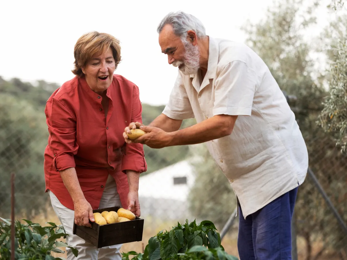 Pensie mai mare cu 200 lei pentru o categorie de pensionari. Casa de Pensii anunță norocoșii Foto: Freepik (fotografie cu caracter ilustrativ)