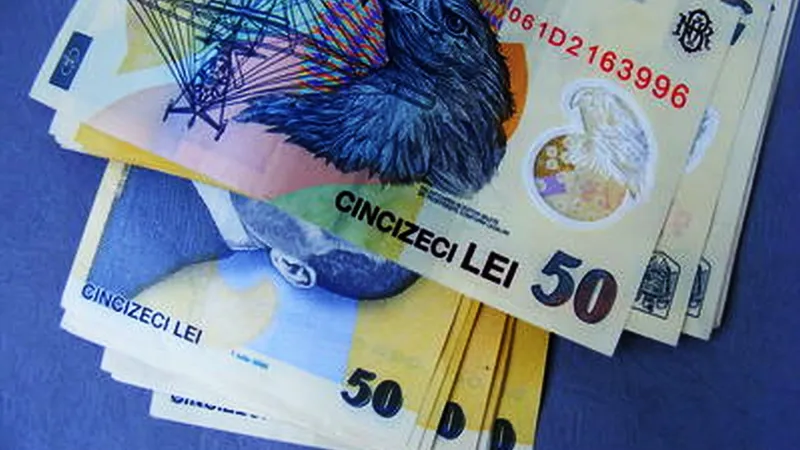 Curtea Constituţională a decis Salariile primarilor şi preşedinţilor de consilii judeţene pot creşte - Foto: Wikimedia/Emilian Robert Vicol/CC BY 2.0