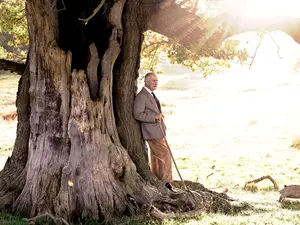 UN MOMENT IMPORTANT Încoronarea regelui Charles al III-lea (aici stând lângă un stejar străvechi în Windsor Great Park anul trecut) a fost un eveniment pregătit timp de 70 de ani.