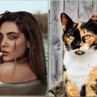 De ce nu au femeile pielea în trei culori ca pisicile Calico - Foto: Pexels / Arsham Haghani