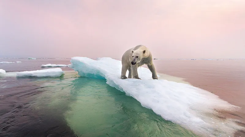 Foto: Getty Images