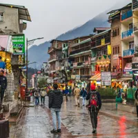 Un băiat de 11 ani, primul deces din cauza gripei aviare din India/FOTO: Unsplash