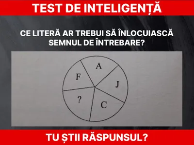 Test de inteligență Foto: Daniel Toșa