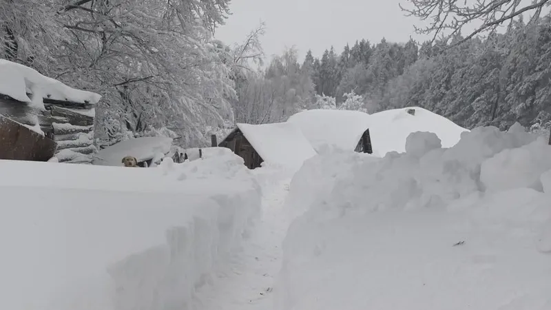 Două mari orașe din țară vor fi îngropate în zăpadă. „Să aveți hrană și apă în casă pentru 3-5 zile” - Foto: B1TV / imagine cu caracter ilustrativ
