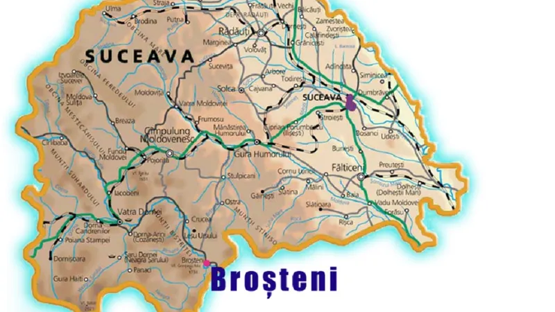 Harta orașului Broșteni Foto: Primăria Broșteni