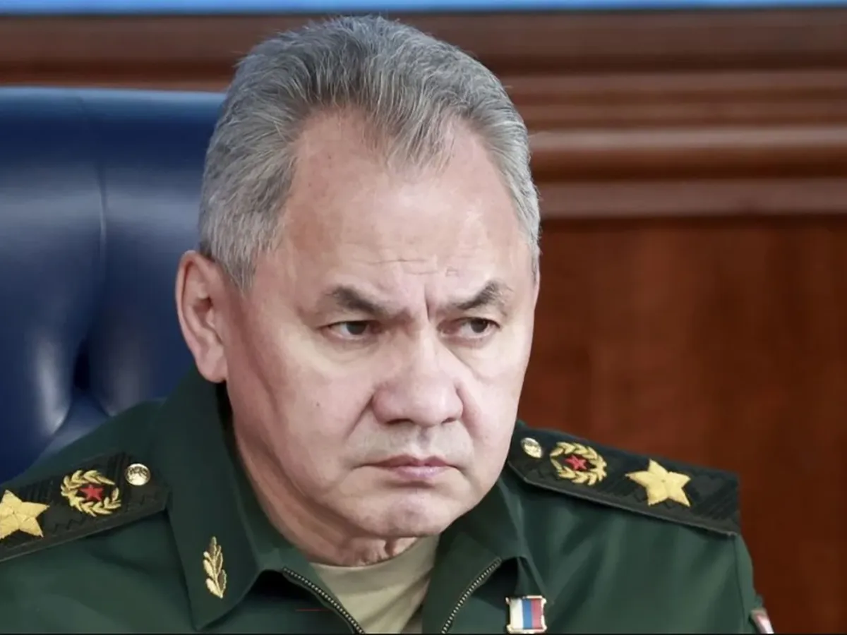 Serghei Șoigu, secretarul Consiliului de Securitate al Rusiei - Foto: Profimedia images