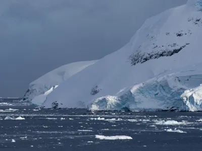O muscă din Arctica a ajuns în Antarctica. Oamenii de ştiinţă avertizează: poate provoca „o destabilizare ecosistemică a mediului”