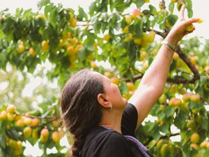România va avea pentru Agricultură bani europeni mai puţini şi mai greu de luat - Foto: Pexels/Golboo Maghooli