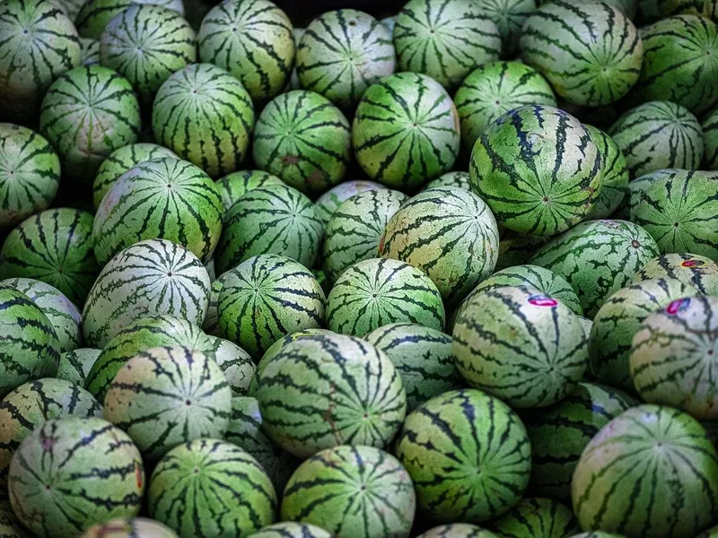 Cât costă pepenii de Dăbuleni?