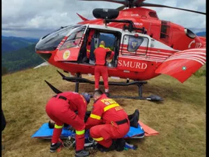 Cioban rănit grav în timp ce încerca să alunge un urs. Petarda folosită la îndepărtarea animalului i-a explodat în mână