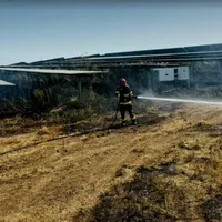 30.000 de panouri fotovoltaice s-au făcut scrum în Giurgiu. De la ce a pornit incendiul? - Foto: captură video