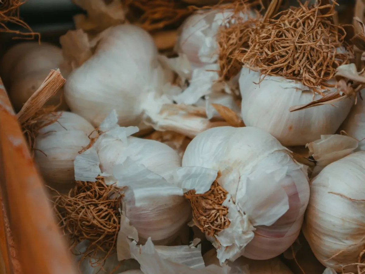 Usturoi Foto: Pexels (imagine cu rol ilustrativ)