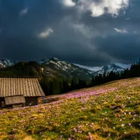 Temperaturi mai mici cu 20 de grade din cauza furtunii Renata. De la ploi, la zăpadă Foto: Pexels (fotografie cu caracter ilustrativ)