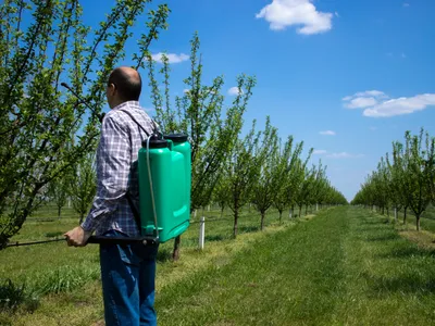 Pesticide Foto: Freepik (imagine cu rol ilustrativ)