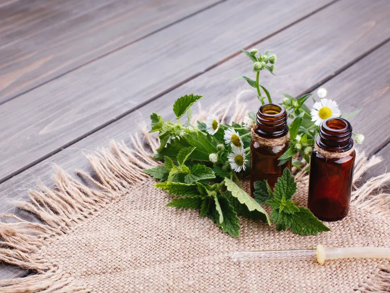 Cum să ții păianjenii departe de casă, folosind produse naturale. Soluții simple și ieftine - Foto: Freepik (Imagine cu rol ilustrativ)
