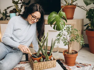 Femeie cu plante în casă - Foto: Magnific.com (Imagine cu rol ilustrativ)