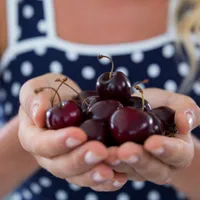 Cum se face o degustare de cireșe? Zeci de soiuri încercate, prețuri între 10-20 lei/ kg - Foto: Profimedia Images/ Imagine cu caracter ilustrativ