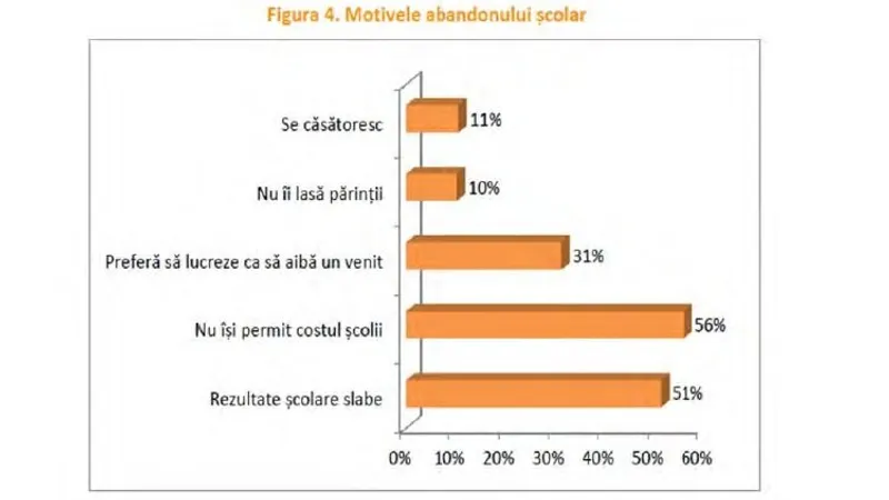 Abandonul școlar. Sursă: World Vision România