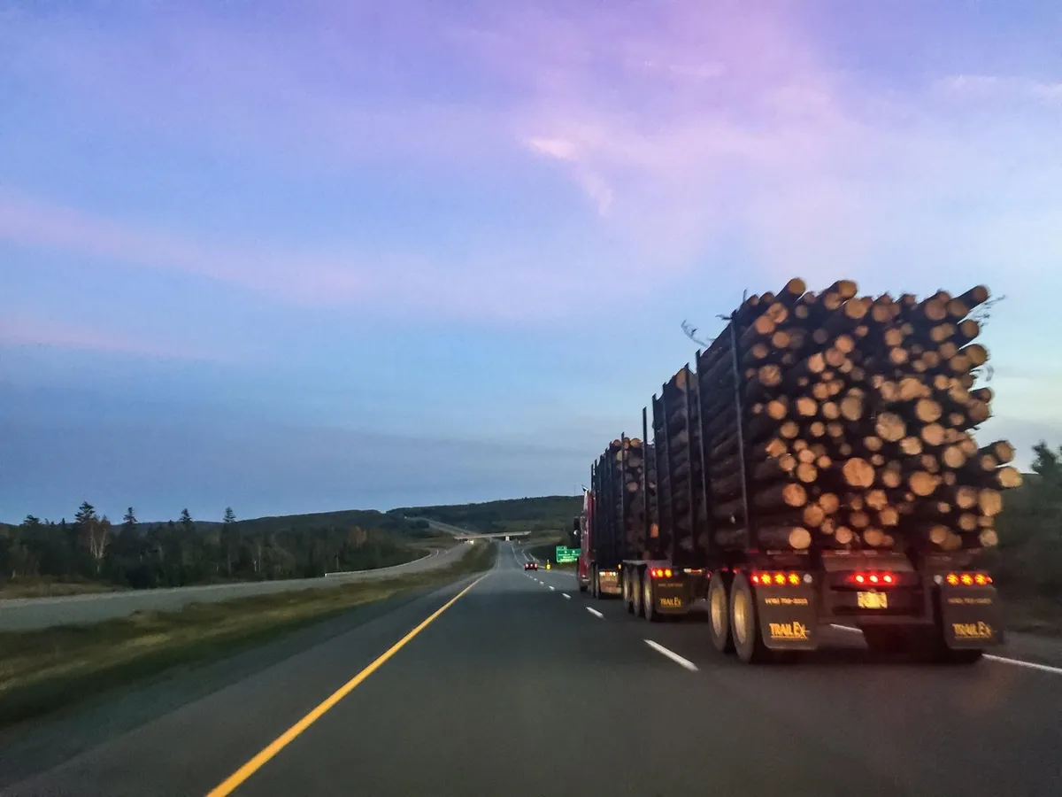 Amendă de 18.000 de lei pentru un șofer care transporta ilegal material lemnos/FOTO: profimediaimages.ro