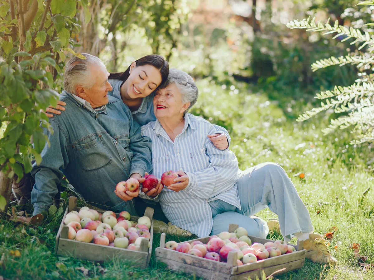 Pensionari Foto: Freepik (imagine cu rol ilustrativ)