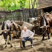 Județul unde românii au cel mic salariu ascunde o comoară neexploatată ascunsă în pământ și în aer - Foto: Sorin Onisor / Facebook