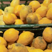 Kaufland, Mega Image şi Carrefour din Capitală, amendate de ANPC/foto:bzi