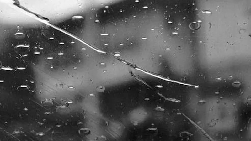 Foto: Pexels/Carla Schizzi