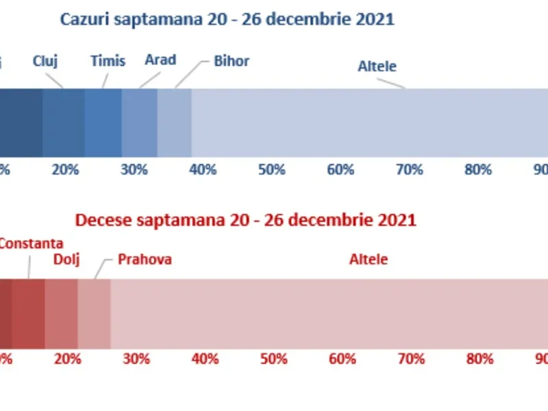 Sursa: INSP