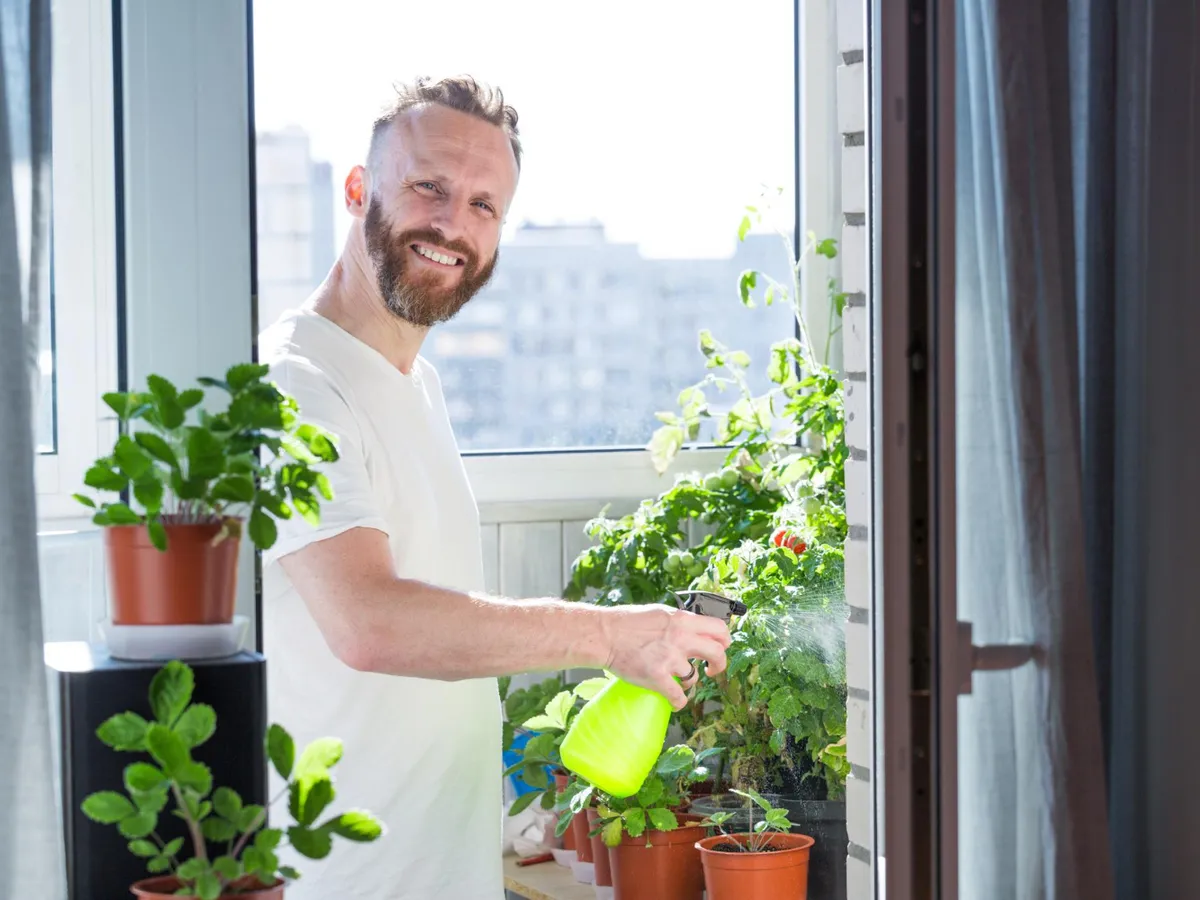 Motivul pentru care trebuie să plantezi în ghiveci o legumă pe care o pui în ciorbă. Rezistă și pe balcon