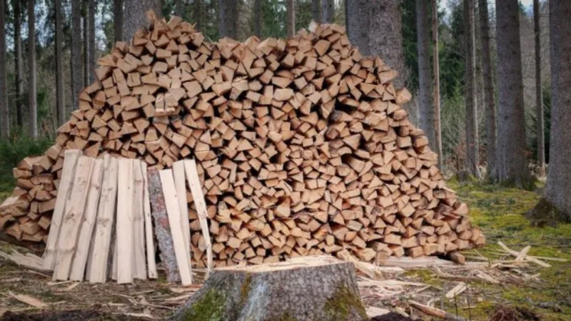 Lemnele de foc au dispărut „subit” după ce Guvernul a plafonat prețul la 400 de lei metrul cub - FOTO: ziaruldeiasi