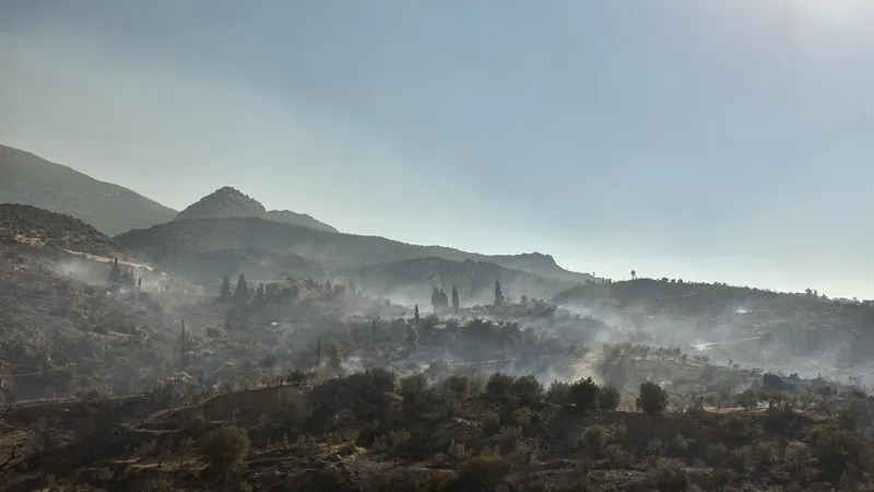 Descoperire macrabră, în Grecia. 18 cadavre arse, într-o pădure în flăcări de la granița cu Turcia - Foto: Profimedia Images - Imagine cu rol ilustrativ