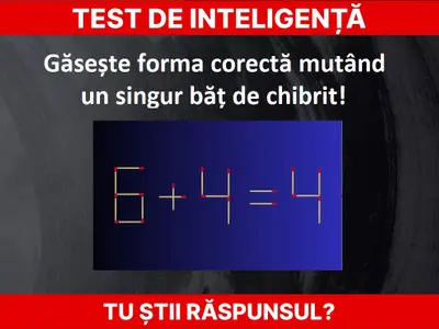 Test de inteligență. Foto: Newsweek/ abmeyerwood.com