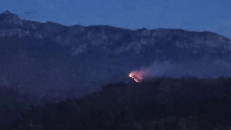 Incendiu de vegetație în zona Moeciu - Foto: A3