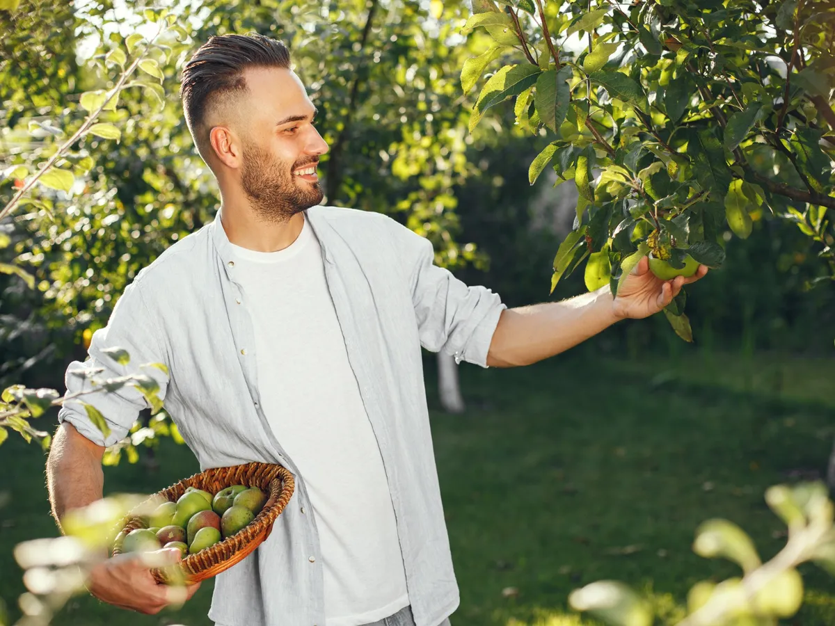 Pomicultor - Foto: Freepik (Imagine cu rol ilustrativ)