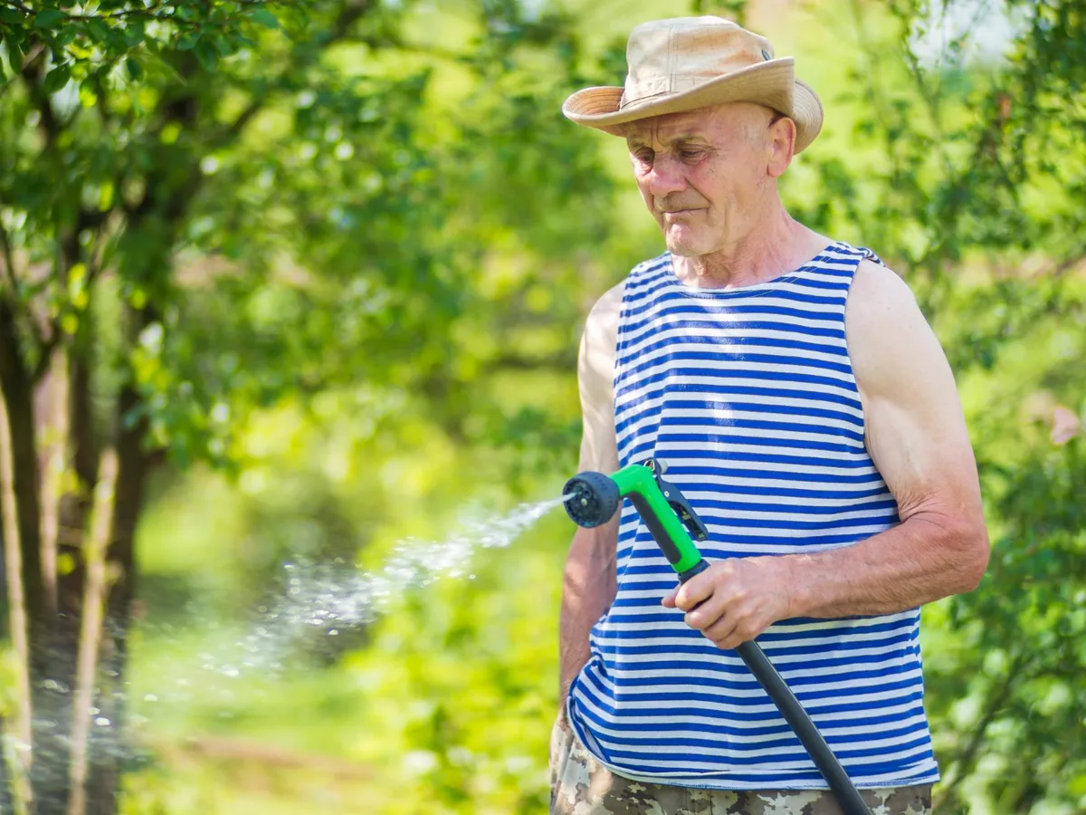 Senior care udă plantele - Foto: Magnific.com (Imagine cu rol ilustrativ)
