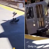 Doi porumbei ucid un al treilea, aruncându-l în fața metroului