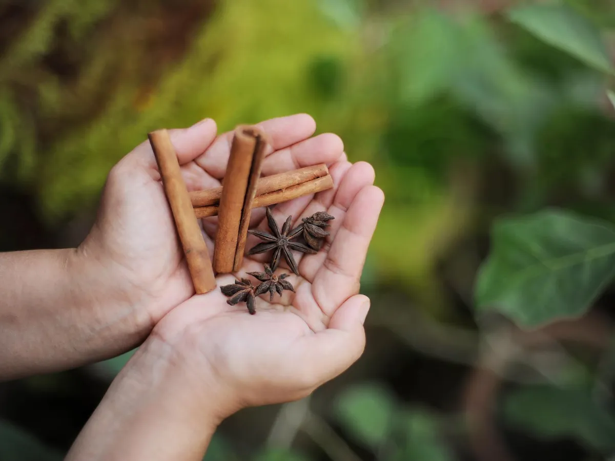 Persoană care ține scorțișoară în mână - Foto: Freepik (Imagine cu rol ilustrativ)