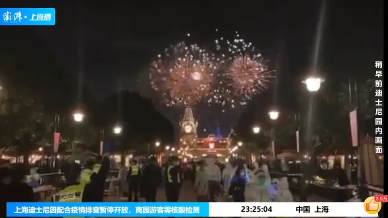 Alertă sanitară la Disneyland Shanghai. FOTO: Twitter