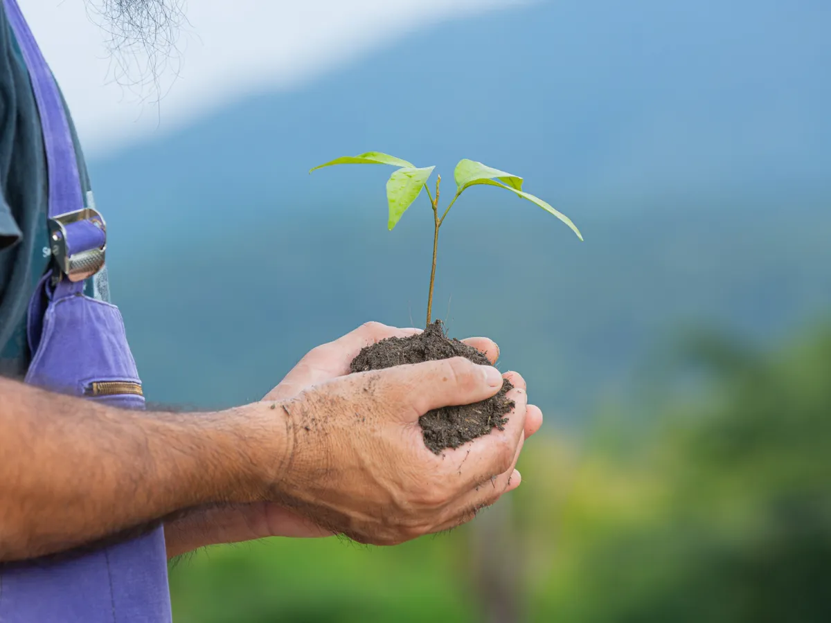 Persoană care vrea să planteze un copac - Foto: Magnific.com (Imagine cu rol ilustrativ)
