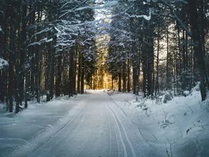 METEO Ninge în martie, anunţă un serviciu meteo american. Nopţile vor ajunge în pragul îngheţului - Foto: Pexels/Simon Berger