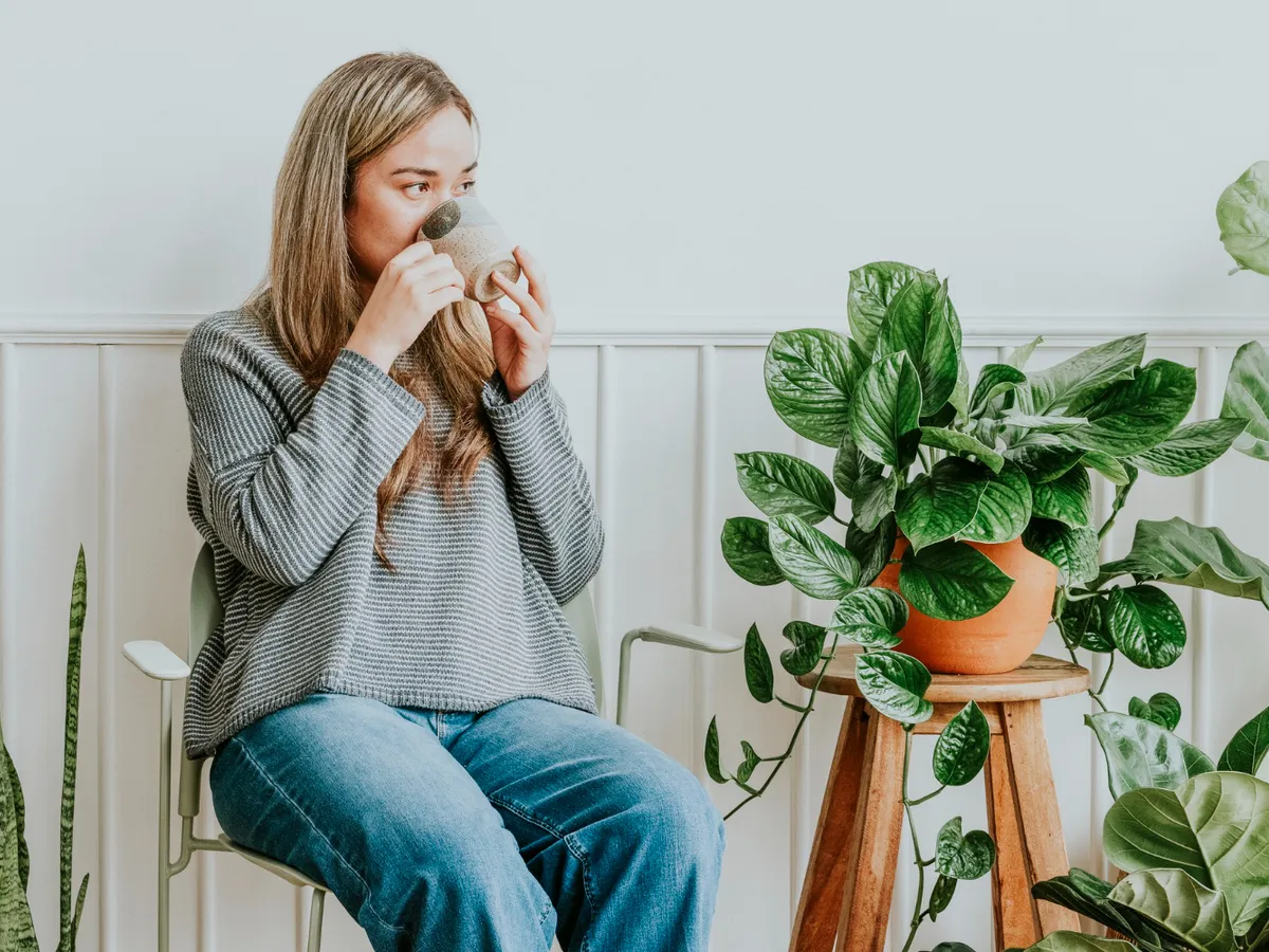 Femeie cu plante în casă - Foto: Magnific.com (Imagine cu rol ilustrativ)