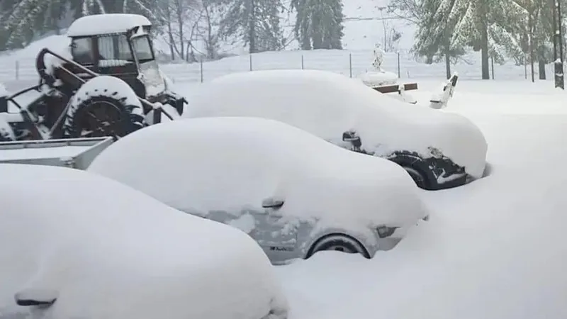 I-a prins iarna la Padiș. Turiști blocați de nămeți la munte Foto: Meteoplus