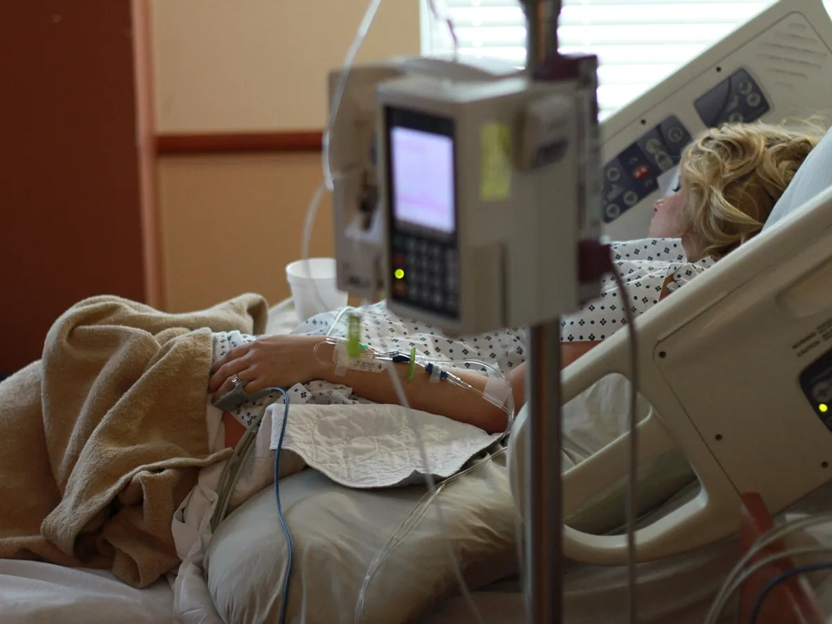 Au crezut că mănâncă leurdă dar au ajuns la spital. Au cules plante otrăvitoare și le-au gătit - Foto: Pixabay.com (rol ilustrativ)