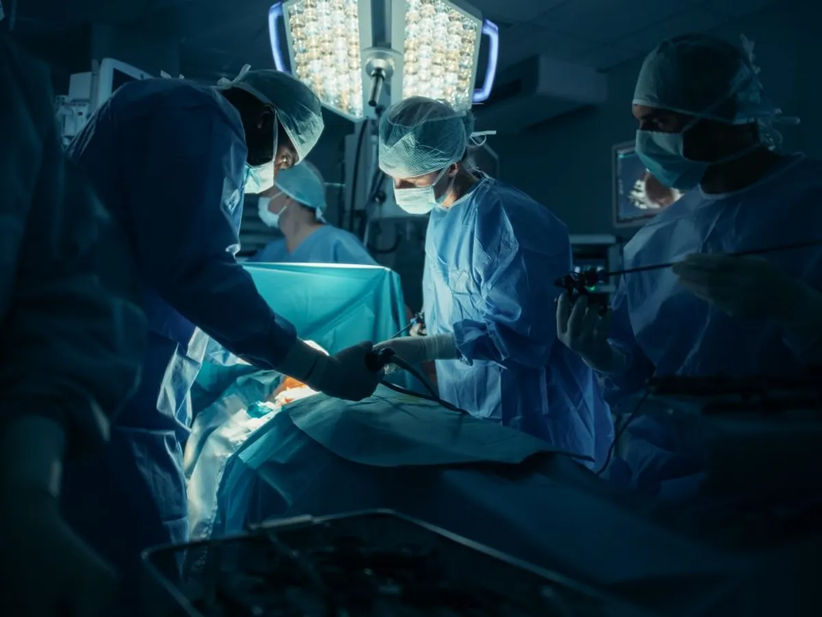 Decizie importantă a Vaticanului: transplanturile de la animale, acceptate în anumite condiții